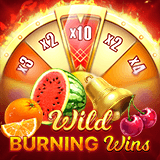 Wild Burning Wins: 5 lines