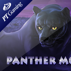 Panther Moon